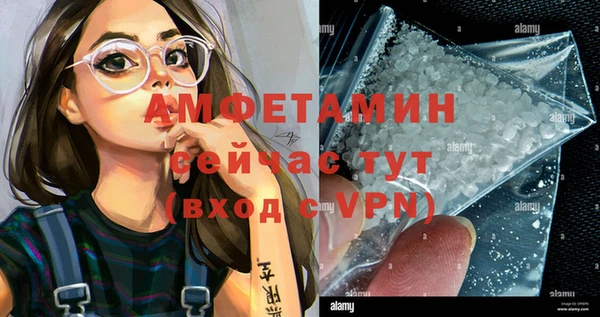 сатива Иннополис