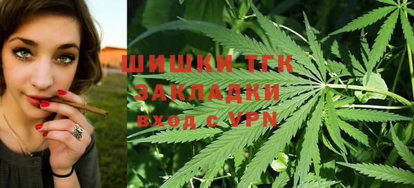 первитин Инсар
