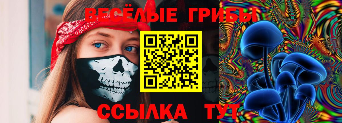 Псилоцибиновые грибы Magic Shrooms  Вход с VPN  Камышин 